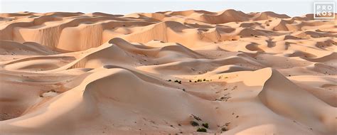 Dunescape #2 - Desert Landscape Photography by Andrew Prokos