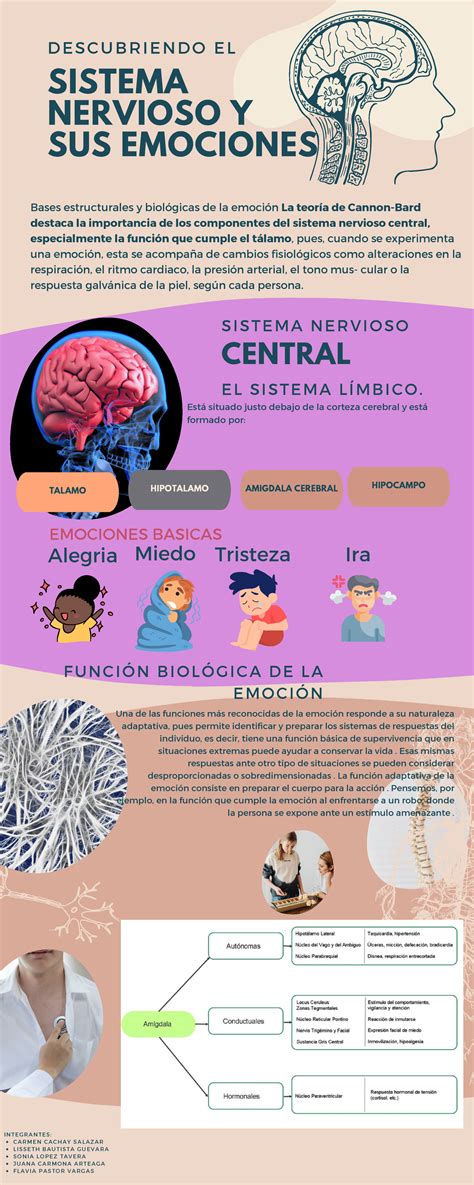 Codigo De La Emocion De Bradley Nelson 4