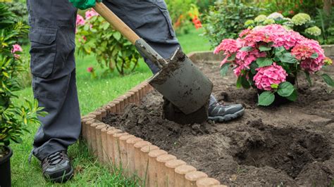 Simple Tricks That Will Make Any Drooping Hydrangea Thrive Again