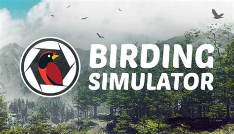 Birding Simulator: Bird Photographer on Steam