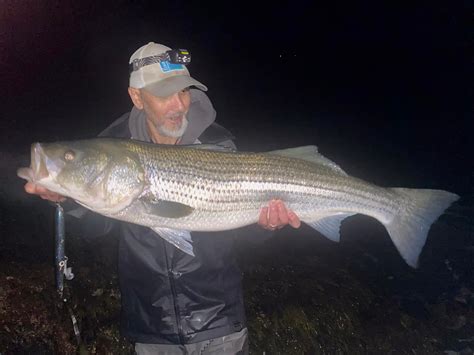 Saltys 2.5 Oz Saltwater Sandeel Needle Plug