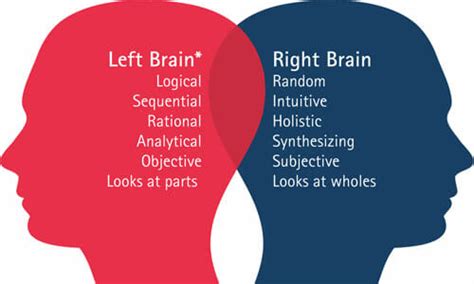 Left Brain And Right Brain Gravity Spa