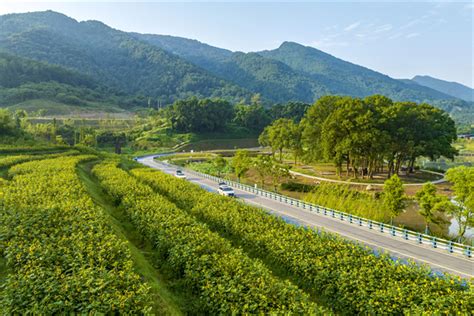 北碚区“我家门口那条路”缙云山环线主题宣传活动启动 新华网重庆频道