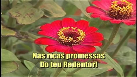 Hin Rio Adventista Jesus Prover Youtube