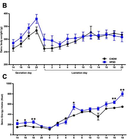 Experimental Design Body Weight And Energy Intake Of Dams A Pregnant