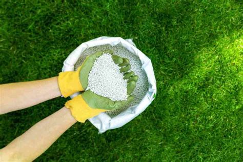 Ultimate Guide To Choosing The Best Organic Potassium Fertilizer For