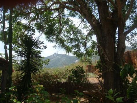 Parque Nacional Serra Do Teixeira Pico Do Jabre Pb Casar O Do Jabre