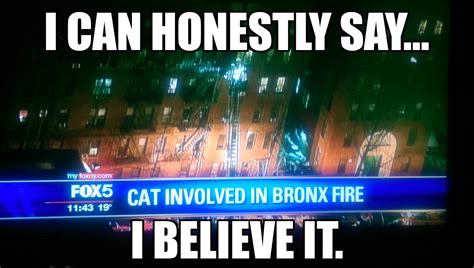 The best Bronx memes :) Memedroid