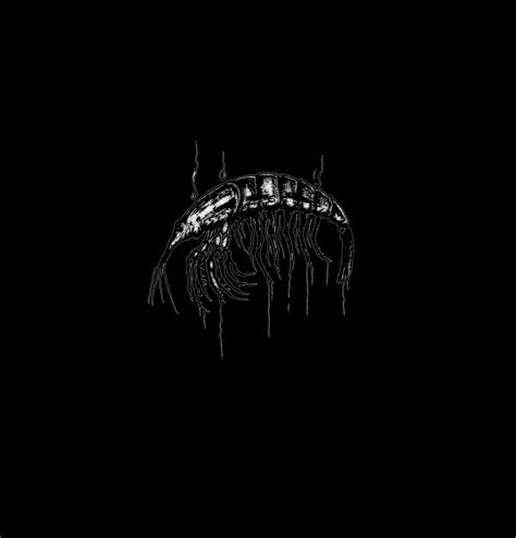 Krill Music | Bergen
