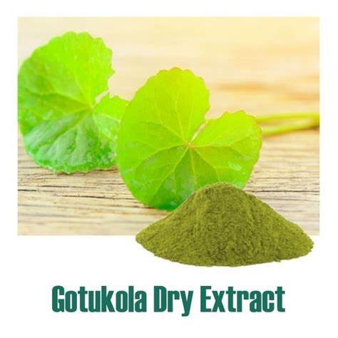 Herbal Product Centella Asiatica Gotu Kola Extract Dry Powder At Best