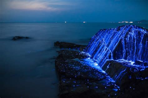 Playas Bioluminiscentes Un Fen Meno Natural Que Tambi N Se Puede Ver