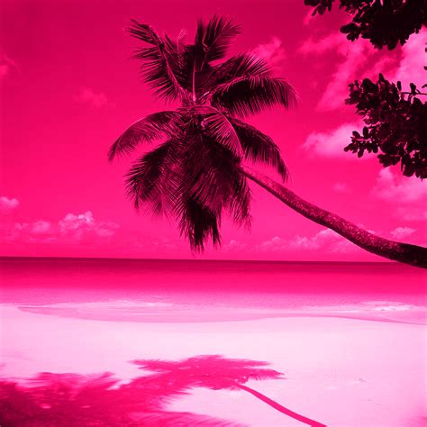 Pink Beach Sunset Wallpaper - WallpaperSafari