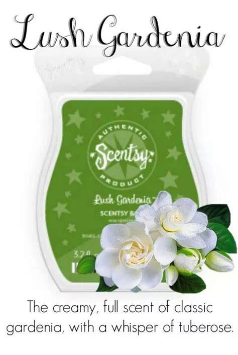 Lush Gardenia Scentsy Scentsy Wax Bars Selling Scentsy