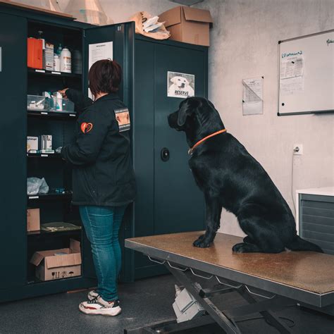 Avoir un chien en bonne santé Centres Paul Corteville