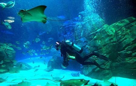 Ripley's Aquarium Of Canada, Toronto | Ticket Price | Timings | Address ...