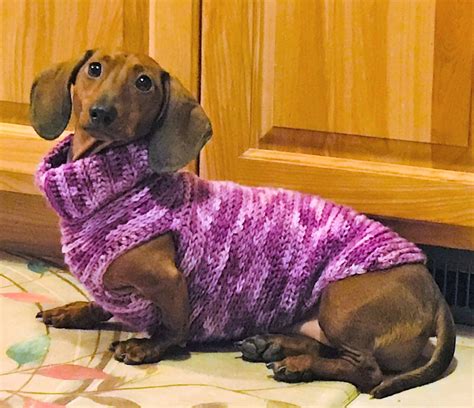 Custom Dachshund Sweater Purple Doxie Clothes Personalized Etsy Dog