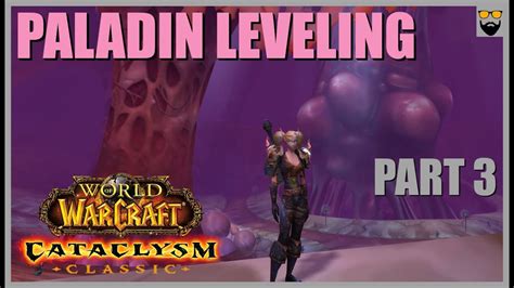 Let S Play World Of Warcraft Cataclysm Paladin Leveling Part 3 Chill Immersive Gameplay