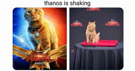 Hilarious Captain Marvel Memes to Prepare You for the Movie