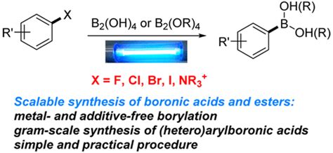 Scalable Metal And Additive Free Photoinduced Borylation Of