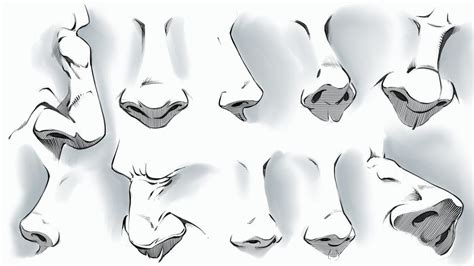 Comic Style Noses Various Angles By Robertmarzullo Nose Drawing