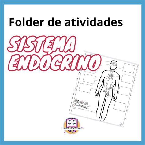 Atividades Sistema Endocrino 8 Ano REVOEDUCA