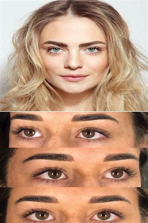 Arched Eyebrows Eyebrow And Makeup Guide To Perfect Eyebrows In