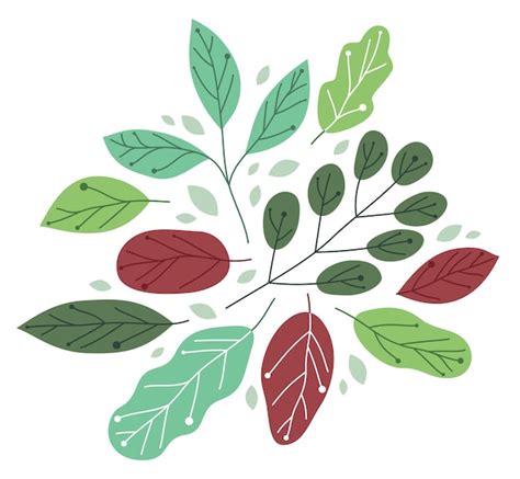 Premium Vector Beautiful Fresh Green Leaves Flat Style Vector