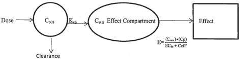 Effect Compartment Model Download Scientific Diagram