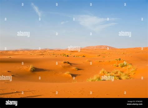 Sand Dune Landscape At Erg Chebbi Desert Sahara Desert Near Merzouga