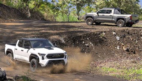 Tacoma Trail Hunter Vs Trd Pro Joela Mabelle