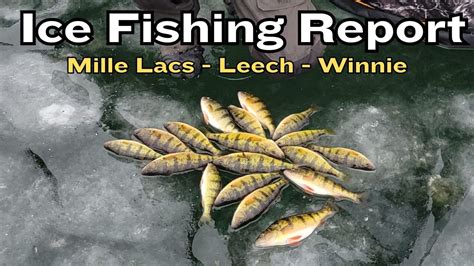 Ice Fishing Report Leech Lake Lake Winnie And Mille Lacs Lake 12 14