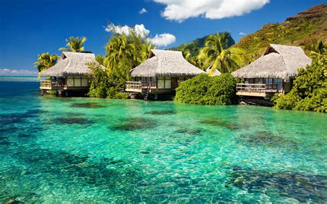 Download Vibrant Beach Huts Lined Up Along The Shore Wallpaper