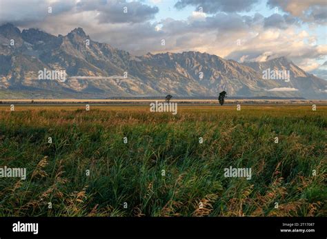 Hanging Clouds and Lone Trees on the grassy plains at the base of the ...