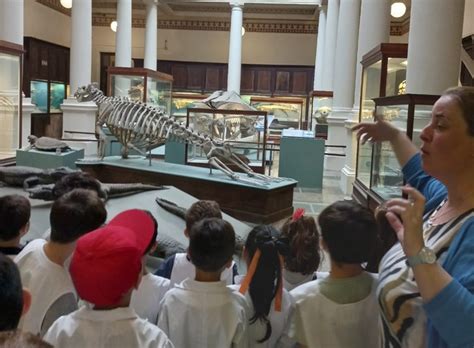 Visita Al Museo De Ciencias Naturales