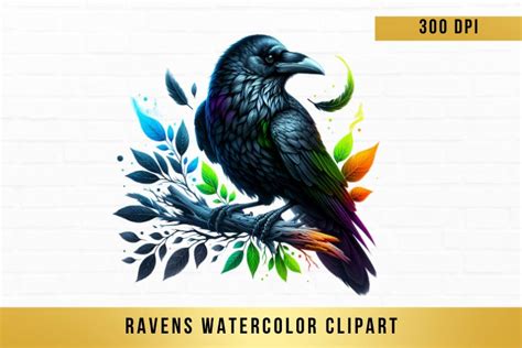 10 PNG Ravens Watercolor Clipart Sublimation Graphics Png