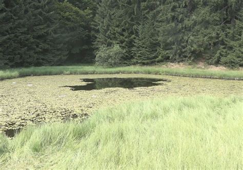 GOLIJA SKRIVA JEDNO OD NAJMISTERIOZNIJIH MESTA U SRBIJI Ovo Jezero Se