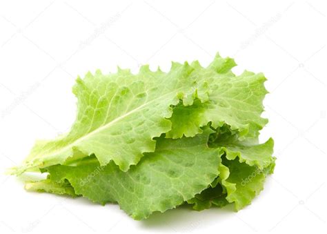 Lettuce leaves Stock Photo by ©ksena32 6002721