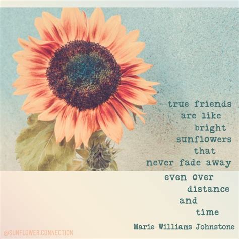 True Friends Are Like Bright Sunflowers That Never Fade Away Even Over