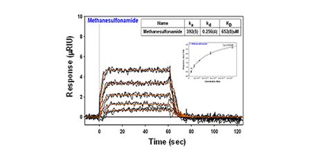 Xantec Bioanalytics Gmbh Products Spr Biosensors Applications Application Note 07 Small