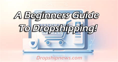 The Dropshipping Business A Step By Step Guide For Beginners