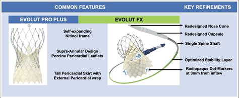 Figure 2 from What’s New with TAVR? An Update on Device Technology ...