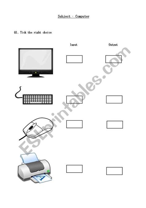 Input Output And Storage Devices Worksheet