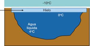 Pistas De Hielo Artificiales Mundo Hvac R