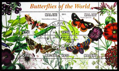 Four Stamps Printed In Malawi From The Butterflies Serie Circa 2011