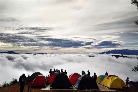 Destinasi Wisata Negeri Diatas Awan Citorek Sensasi Lautan Awan Yang