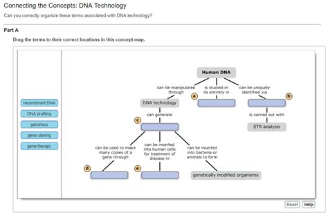 Solved: Connecting The Concepts: DNA Technology Can You Co... | Chegg.com