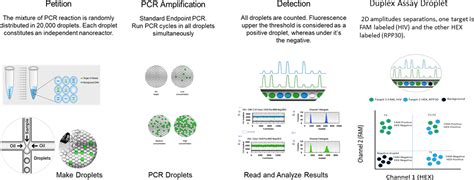 Development Of Droplet Digital Pcr Based Assays To Quantify Hiv