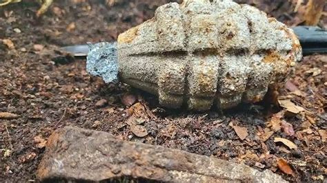 Man Discovers American World War II Grenade While Picking Mushrooms In