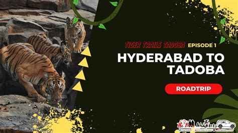 Hyderabad To Tadoba Roadtrip EP 1 The Bong Wanderers Tiger Trails