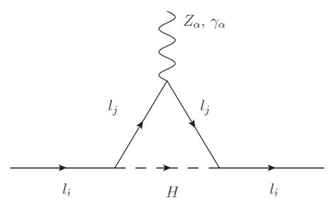 Feynman Diagrams That Contribute To The Magnetic And Weak Magnetic